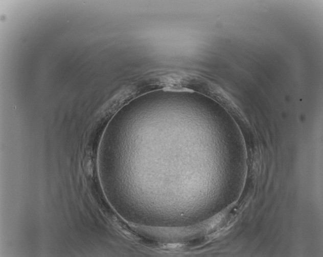 X0000064770313200602131323