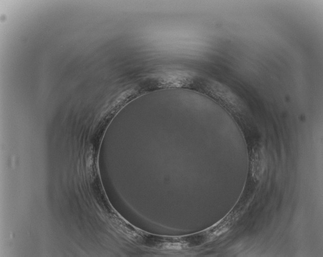 X0000064770314200602131323