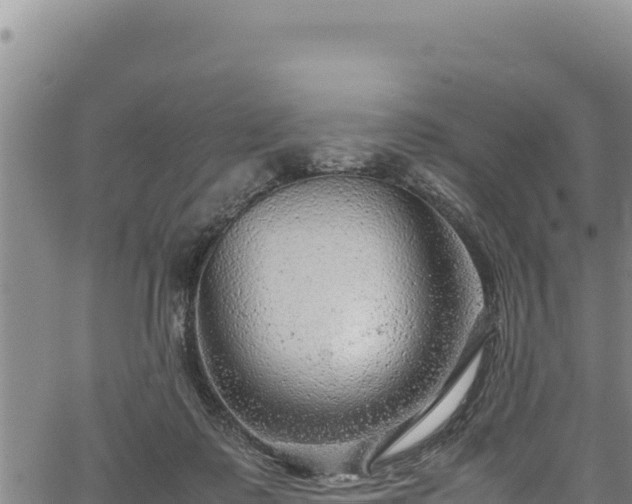 X0000064770315200602131323