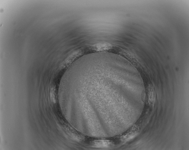 X0000064770316200602131323