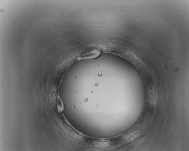 X0000064770318200602131323