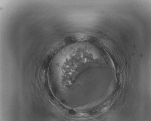 X0000064770319200602131323