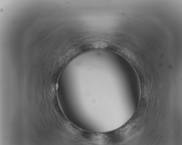 X0000064770321200602131323