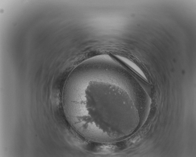 X0000064770323200602131323