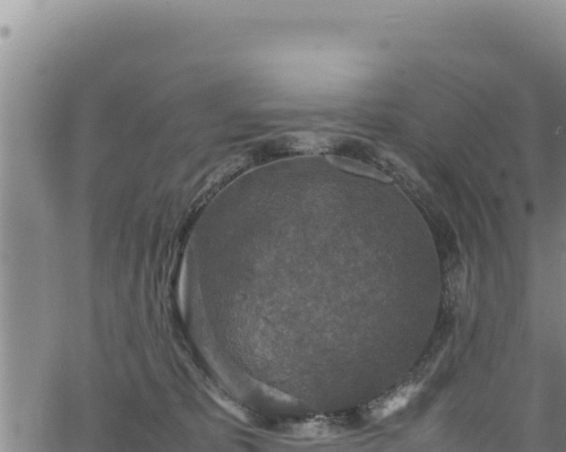 X0000064770325200602131323