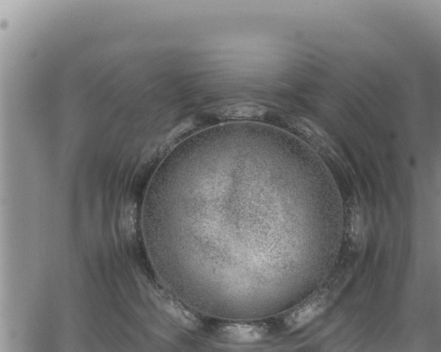 X0000064770326200602131323