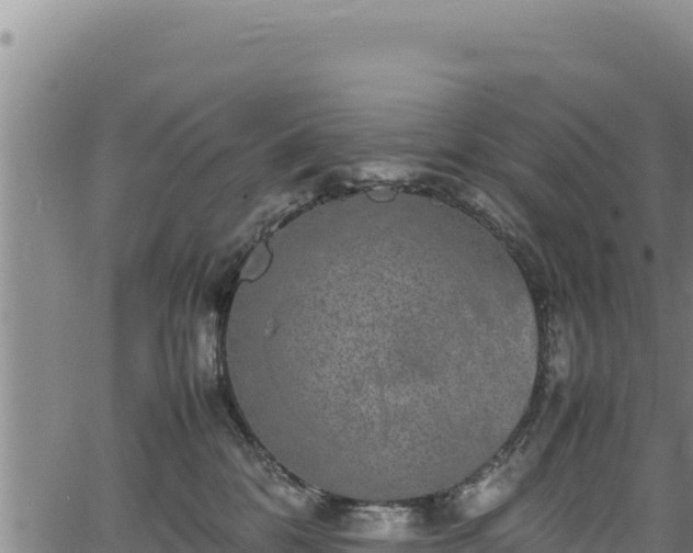 X0000064770328200602131323