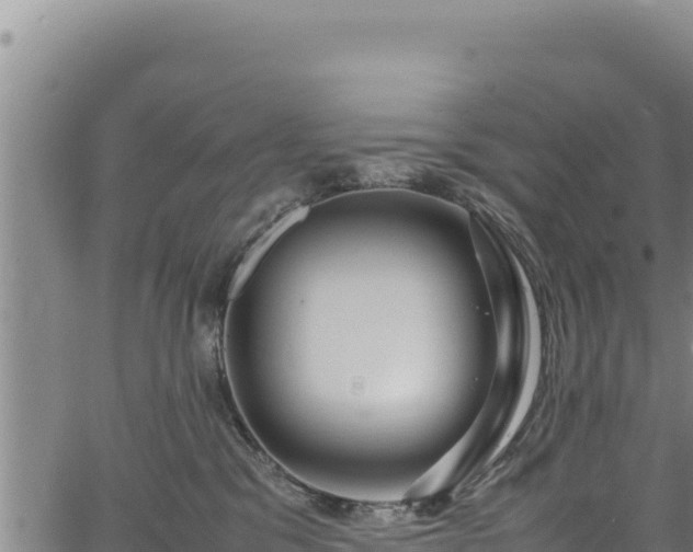 X0000064770329200602131323