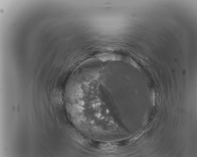 X0000064770331200602131323