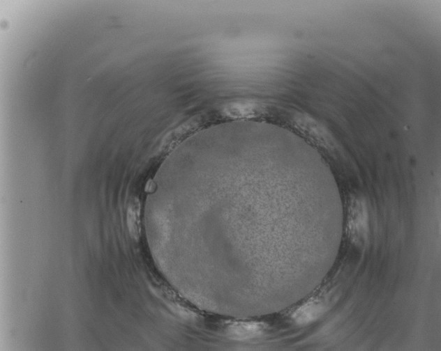 X0000064770332200602131323