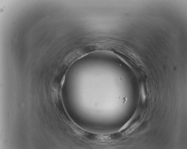 X0000064770333200602131323