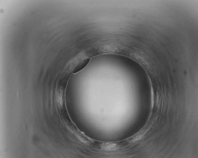 X0000064770334200602131323