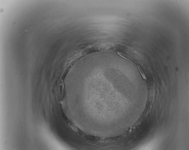 X0000064770335200602131323