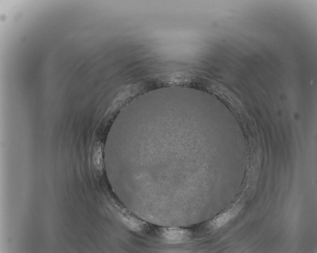 X0000064770336200602131323