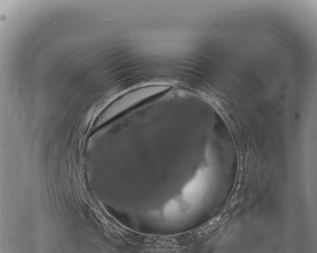 X0000064770337200602131322