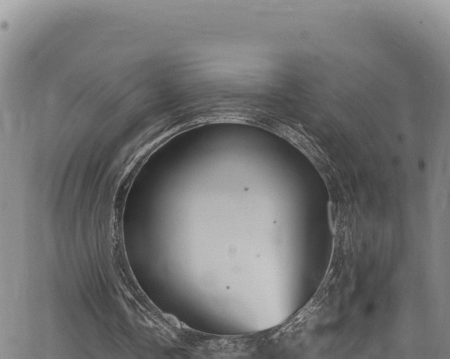 X0000064770338200602131322