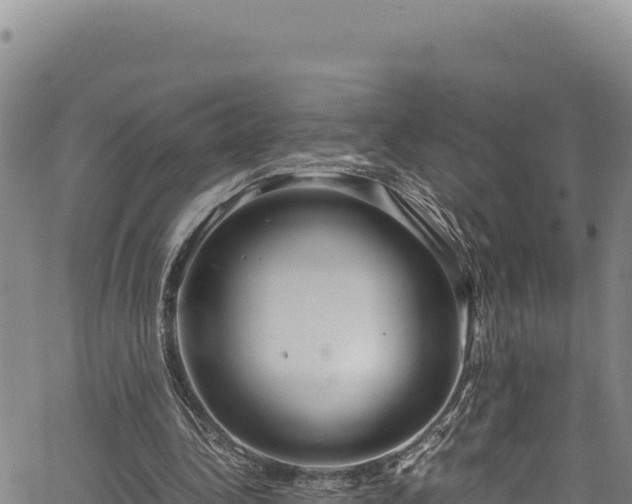 X0000064770340200602131322