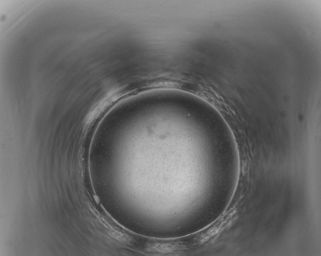 X0000064770341200602131322