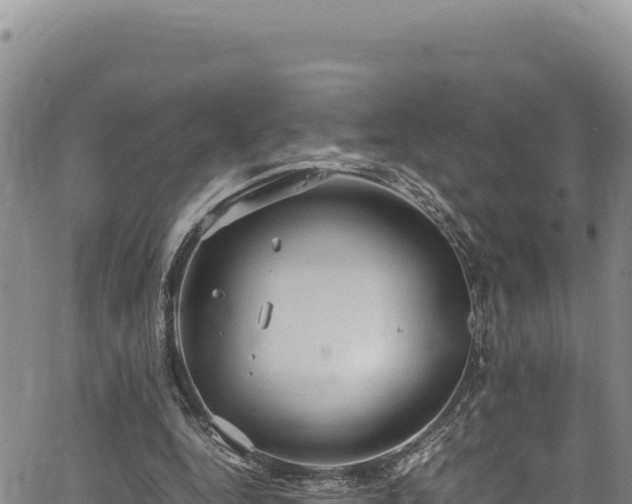 X0000064770344200602131322