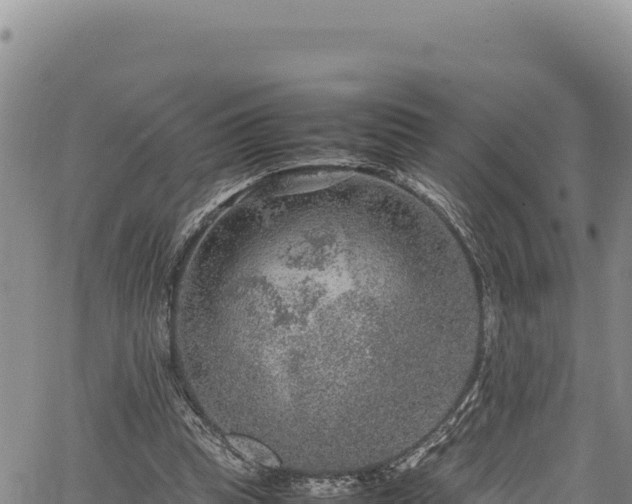 X0000064770345200602131322