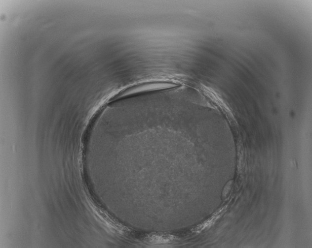 X0000064770346200602131322