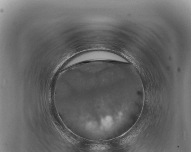 X0000064770347200602131322