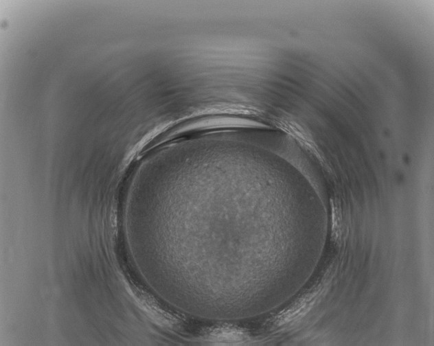 X0000064770348200602131322