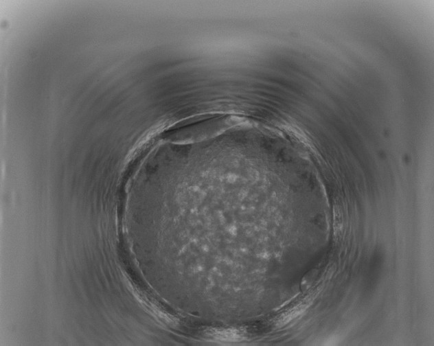 X0000064770349200602131322