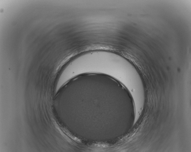 X0000064770352200602131322