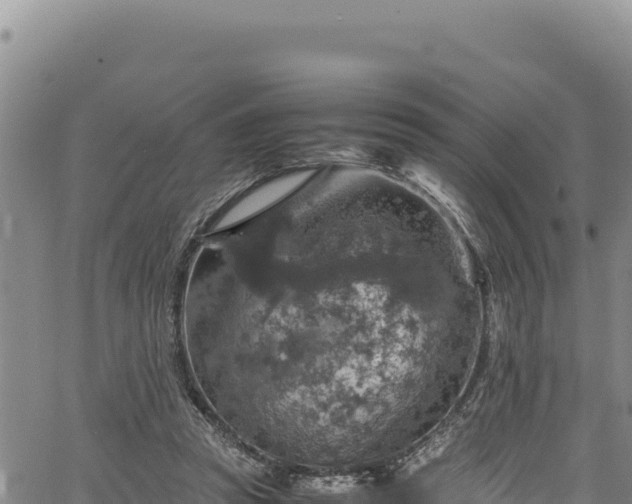 X0000064770353200602131322