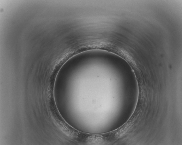 X0000064770354200602131322