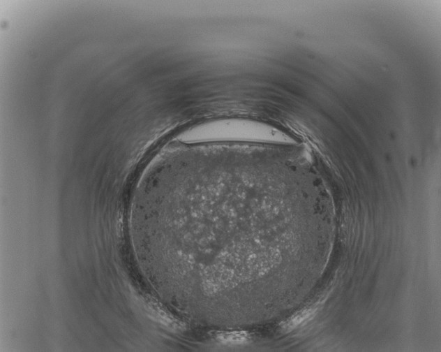 X0000064770355200602131322