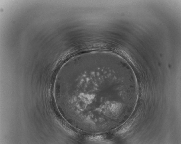 X0000064770357200602131322