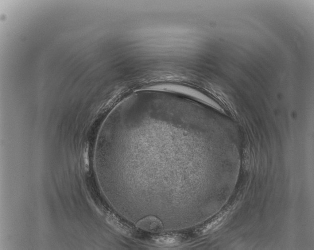 X0000064770358200602131322