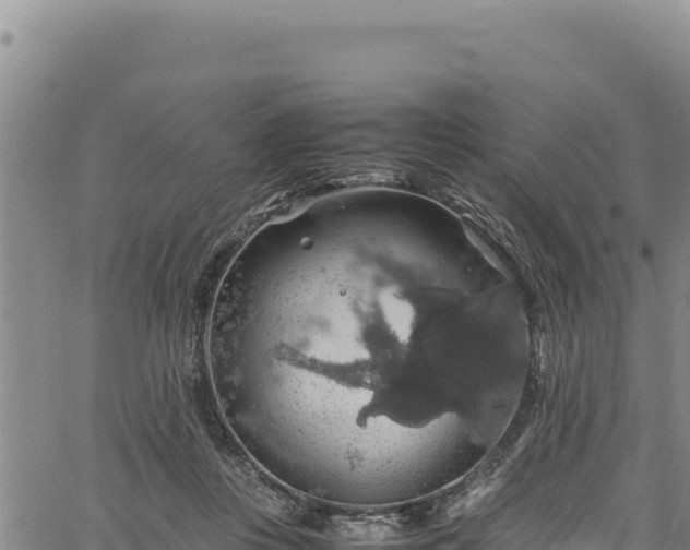 X0000064770359200602131322