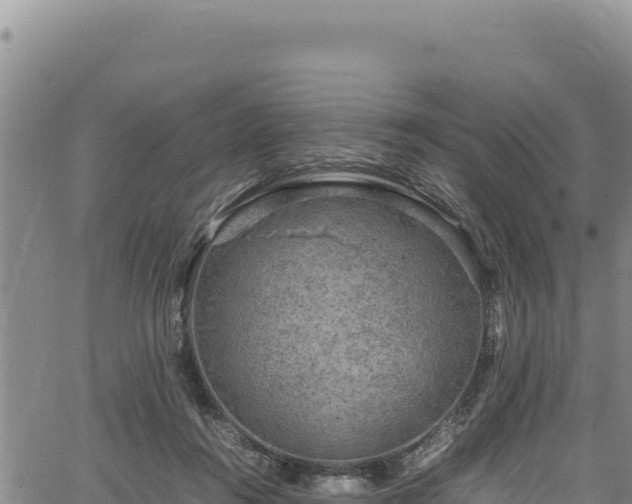 X0000064770360200602131322