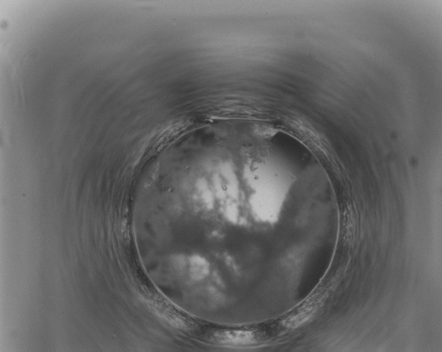 X0000064770361200602131322