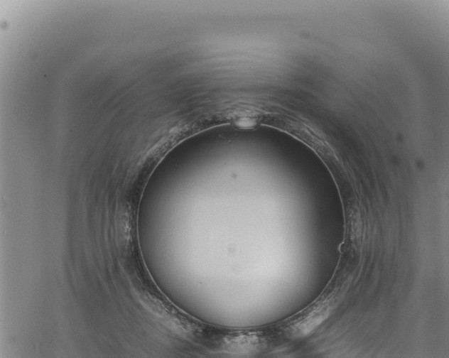 X0000064770362200602131322