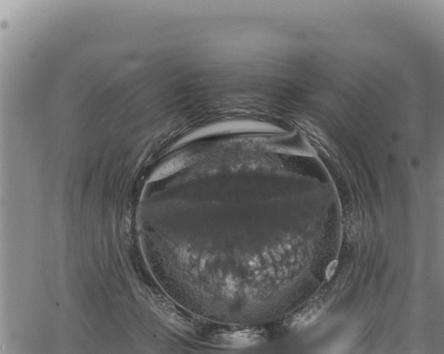 X0000064770365200602131322