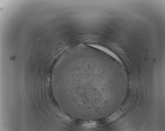 X0000064770369200602131322