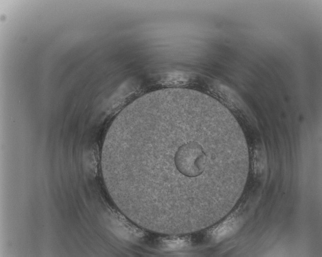 X0000064770370200602131322