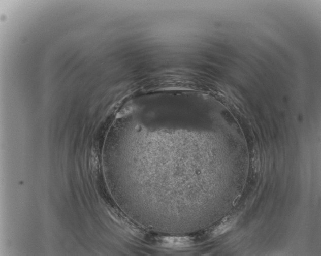 X0000064770371200602131322