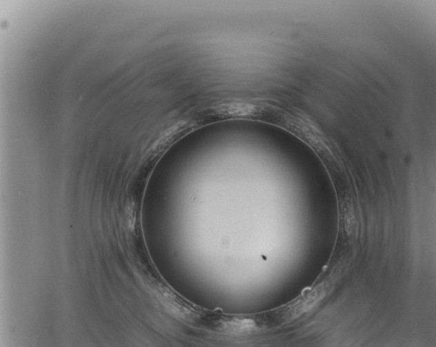 X0000064770374200602131322