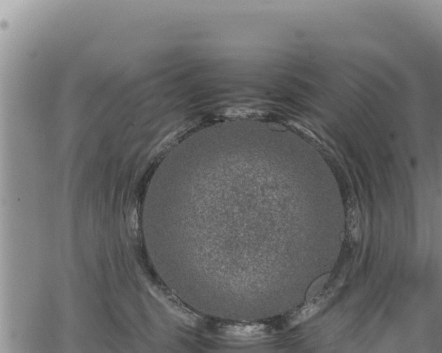 X0000064770375200602131322