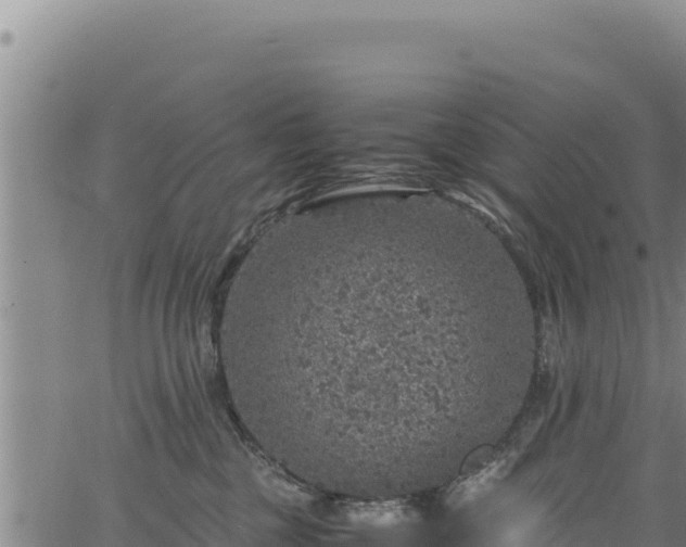 X0000064770377200602131322