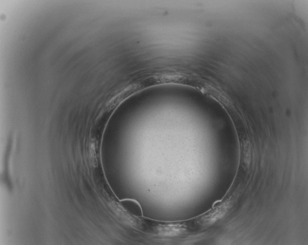 X0000064770378200602131322