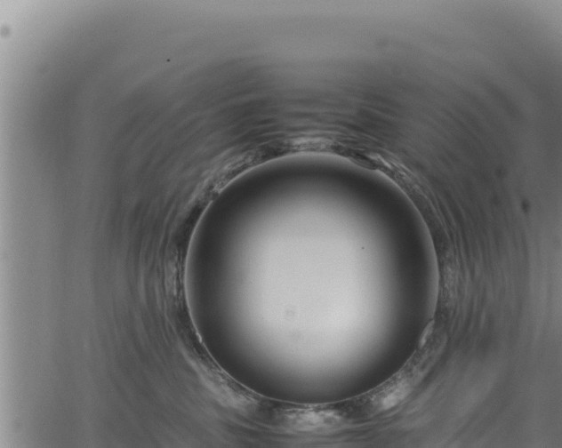 X0000064770379200602131322