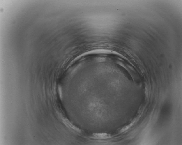 X0000064770380200602131322