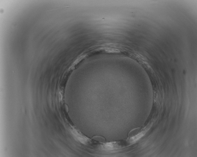 X0000064770382200602131323