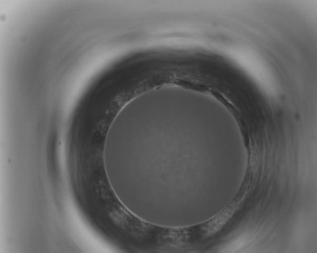 X0000064770383200602131323